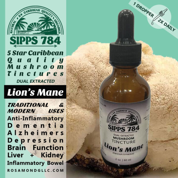 Lion's Mane Dual Extracted Mushroom Tincture