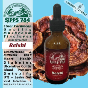 Reishi Dual Extracted Mushroom Tincture