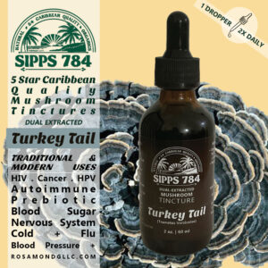 Turkey Tail Dual Extracted Mushroom Tincture